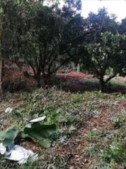 Se vende Lote en Zona Montañosa de Quepos en Naranjito, Quepos, Puntarenas — 280 000 000 ₡ - Foto 5 de 20