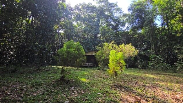 LOTE EN PEÑAS BLANCAS, PÉREZ ZELEDÓNNATURALEZA Y PRIVACIDAD en San Isidro De El General, Pérez Zeledón, San José — $115,000