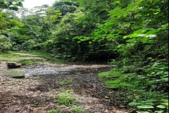 Se vende lote con río, vistas espectaculares al Volcán Arenal a solo 6 minutos de La Fortuna en La Fortuna, San Carlos, Alajuela — 91 500 000 ₡ - Foto 5 de 6