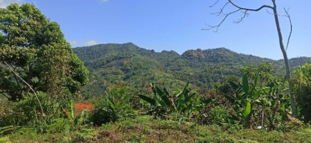 LOTE CON VISTAS 360° EN VENTA SAN RAMÓN SUR PÉREZ ZELEDÓN – LISTO PARA CONSTRUIR in San Isidro De El General, Pérez Zeledón, San José — $29,999