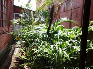 VENTA DE CASA CON USO DE SUELO COMERCIAL, CENTRO DE CARTAGO in Occidental, Cartago — $398,000 - Photo 4 of 18
