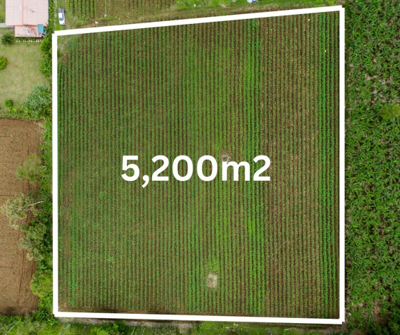 Se Vende Finca en SonaFluca, Fortuna de San Carlos en La Fortuna, San Carlos, Alajuela — ₡ 50 000 000