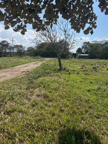 TOURIST GUANACASTE FARM FOR SALE   BAGACES COSTA RICA en Mogote, Bagaces, Guanacaste — $1,000,000 - Foto 3 de 22