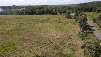 VENTA DE FINCA, PUNTARENAS, PARRITA, PLAYON  en Parrita, Puntarenas — $180,000 - Foto 5 de 12