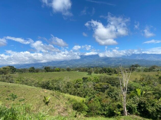 HERMOSA FINCA DE 8 HECTÁREAS EN BUENOS AIRES, PUNTARENAS in Buenos Aires, Puntarenas — $120,000