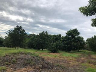 Terreno frente a la Ruta 27 Coyolar Orotina en Coyolar, Orotina, Alajuela — $2,400,000 - Foto 2 de 8