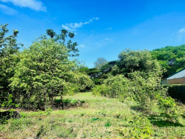 Build Your Dream in La Garita Nueva, Near Tamarindo en Tamarindo, Santa Cruz, Guanacaste — $150,000