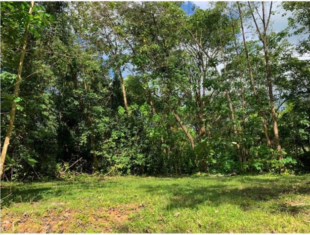👁INVESTMENT OPPORTUNITY IN UVITA.🌴 in Bahía Ballena, Osa, Puntarenas — $475,000 - Photo 2 of 15