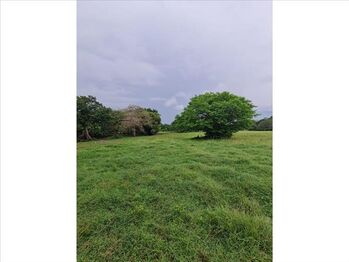 Finca en Venta Bagaces, Bagaces, Guanacaste