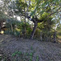 lot in the countryside, quiet and greenery in a tourist area in Curubandé, Liberia, Guanacaste — $360,000 - Photo 2 of 5