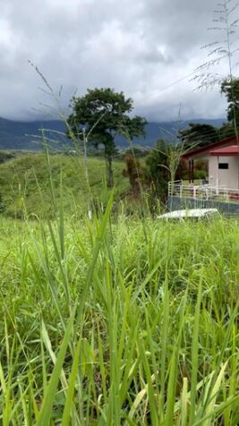 Build Your Dream in Paradise – Flat Jungle Lot with Mountain & Waterfall Views in Puerto Cortés, Osa, Puntarenas — $41,000 - Photo 3 of 28