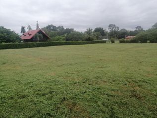 VENTA DE LOTE RESIDENCIAL Y AGRICOLA, LIMON, POCOCI, GUAPILES in Guápiles, Pococí, Limón — $139,900 - Photo 2 of 10