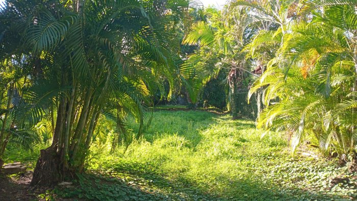 Lote en jaco centro en Jacó, Garabito, Puntarenas — $320,000 - Foto 3 de 9