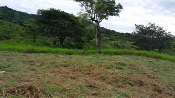A 12 minutos de Playa Samara, Hermoso Terreno!!!! in Belén de Nosarita, Nicoya, Guanacaste — 168 000 000 ₡ - Photo 2 of 19