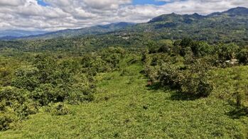 VENTA DE REFUGIO NATURAL DE 3.2 HA EN LAS FALDAS DEL CHIRRIPO en El General, Pérez Zeledón, San José — $142,989 - Foto 4 de 25