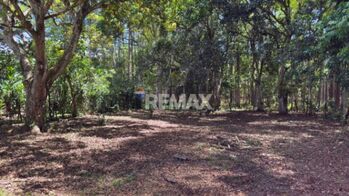 LOTE EN VENTA EN LAS JUNTAS DE PACUAR, PÉREZ ZELEDÓN – 1,200 m² PLANO Y LISTO PARA CONSTRUIR en Río Nuevo, Pérez Zeledón, San José — $74,000 - Foto 4 de 4