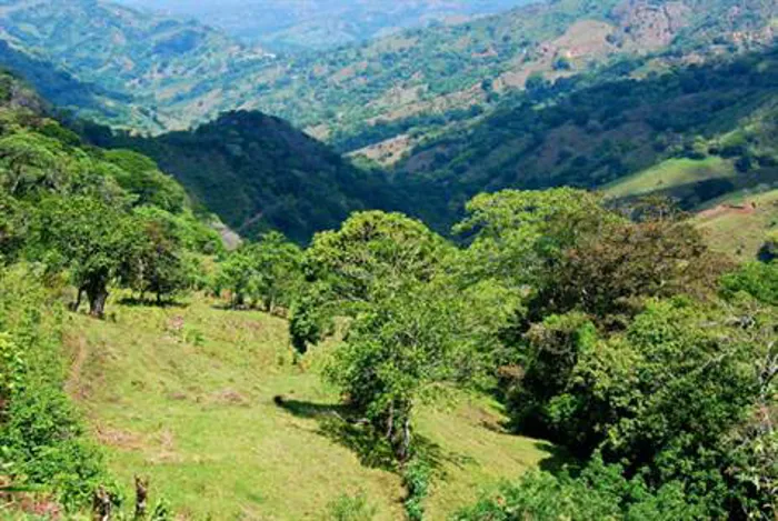 This fourteen-hectare farm is located on the outskirts of Atenas. in Atenas, Alajuela — $990,000 - Photo 3 of 15