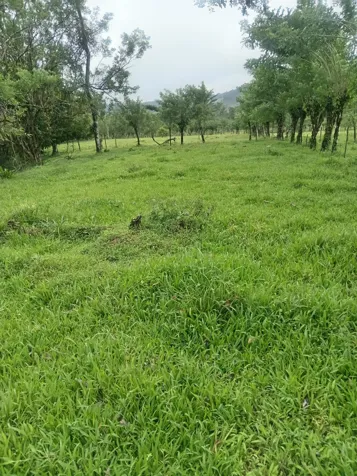 DE OPORTUNIDAD ESPECTACULAR FINCA EN LA MILPA DE UPALA. en Delicias, Upala, Alajuela — ₡ 342 000 000 - Foto 2 de 3