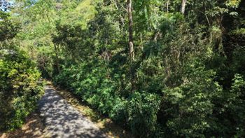 VENTA DE LOTE RESIDENCIAL Y TURISTICO DE 3.892 M2 EN SAN FRANCISCO DE RIVAS, PEREZ ZELEDON in Rivas, Pérez Zeledón, San José — $95,000 - Photo 2 of 7