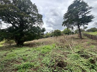 VENTA DE LOTE DE 11.310 m² EN LOS ÁNGELES, SAN RAFAEL DE HEREDIA in Ángeles, San Rafael, Heredia — $339,300 - Photo 5 of 6
