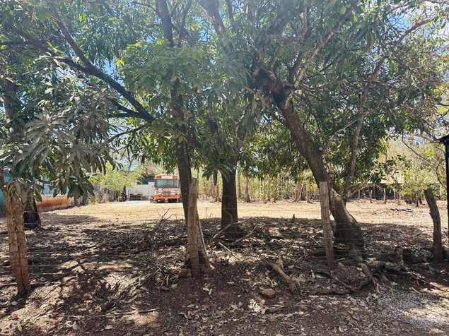 Ready-to-Build 1,766 m² Lot Near Tamarindo: Utilities Included in Tamarindo, Santa Cruz, Guanacaste — ₡ 85 000 000 - Photo 3 of 6