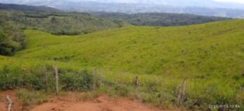 Finca en Venta Potrero Grande, Buenos Aires, Puntarenas