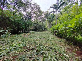Lote en venta en Rosario de Naranjo in El Rosario, Naranjo, Alajuela — $80,000 - Photo 2 of 12