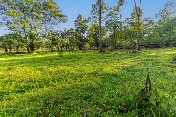 Venta de Finca en La Colonia, Guápiles en San Isidro, San Ramón, Alajuela — ₡ 185 000 000