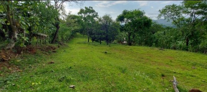 SE VENDE PRECIOSA PROPIEDAD EN TURRUBARES, SAN JOSÉ.  en San Luis, Turrubares, San José — ₡ 30 000 000