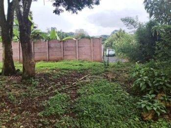 Land For Sale San Jerónimo, Naranjo, Alajuela