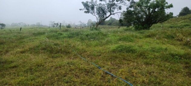 SE VENDE ESPECTACULAR FINCA MULTIUSO EN RÍO CUARTO DE ALAJUELA.  in Río Cuarto, Alajuela — $1,813,000