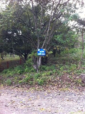 Lote en San Mateo de Alajuela en San Mateo, Alajuela — $40,000