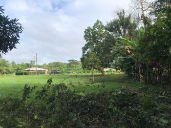 Hermoso lote en Las Pavas de Upala en Delicias, Upala, Alajuela — 12 000 000 ₡ - Foto 5 de 9