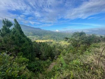 Finca con Proyecto de Reforestación en Santa Cruz, Turrialba, Cartago — $150,000 - Foto 5 de 8