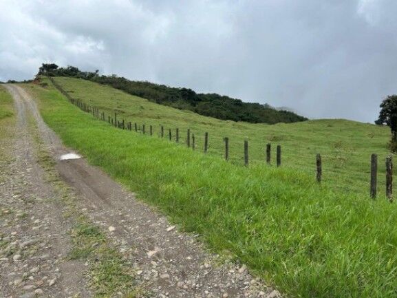 MLS-26-18 LS VENTA LOTE PALMITAL PUNTARENAS en Puntarenas — ₡ 25 500 000