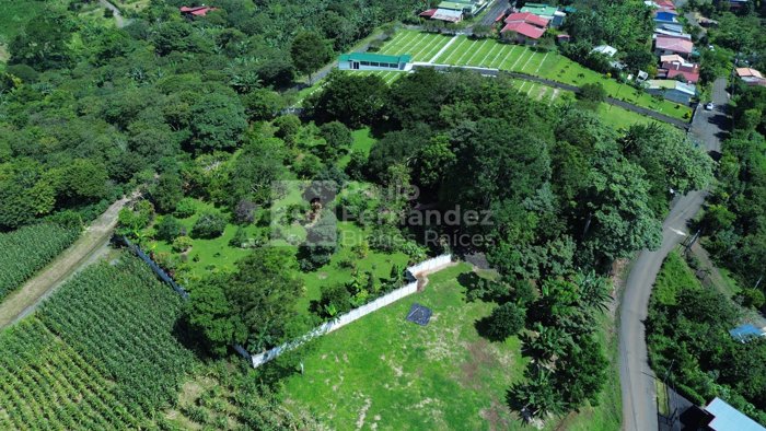 Quinta En Venta Palmitos de Naranjo 5,855m2 in Palmitos, Naranjo, Alajuela — $300,000 - Photo 3 of 7