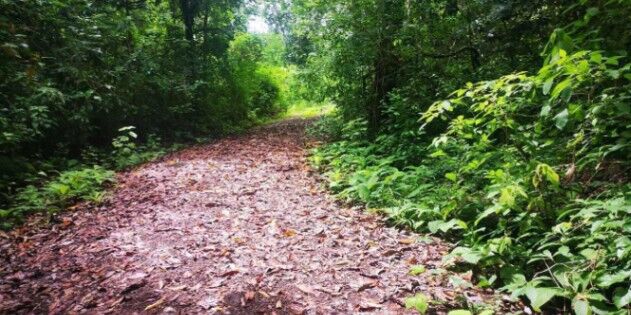 Venta de Lote con Riachuelo en Hojancha-Puerto Carrillo, Guanacaste. RAH 26-994 en Puerto Carrillo, Hojancha, Guanacaste — ₡ 60 000 000