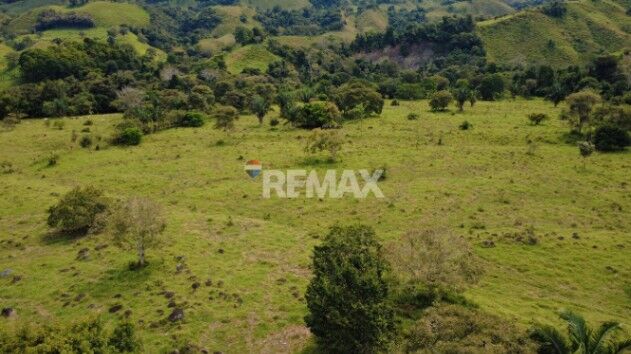 FINCA GANADERA 27 HECTÁREAS EN PÉREZ ZELEDÓN en Pejibaye, Pérez Zeledón, San José — $390,000