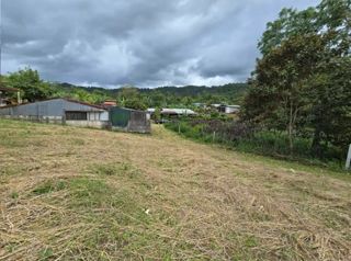 🌿 Lote en Venta – La Tigra