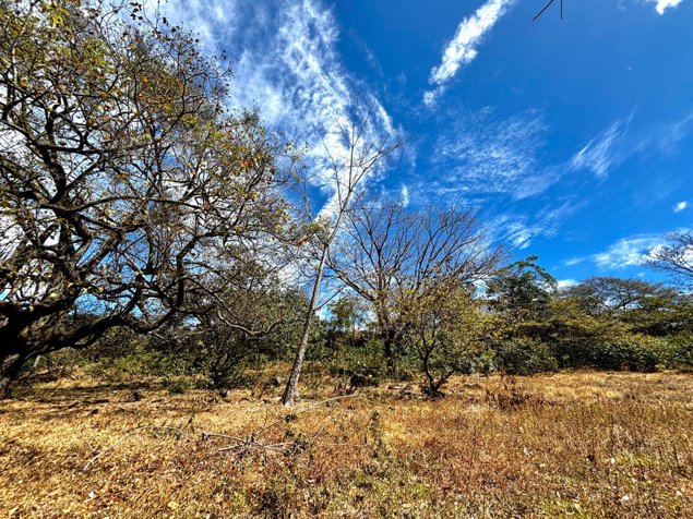 Se vende finca en La Guacima de Alajuela en Guácima, Alajuela — $567,000 - Foto 3 de 16
