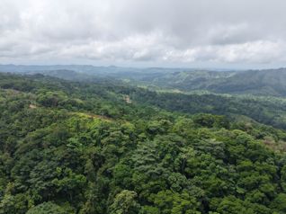 Santuario Natural en Puriscal – Ríos, Bosques y Cataratas in Santiago, Puriscal, San José — $320,000 - Photo 5 of 16