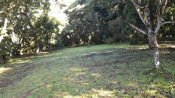 PARCELA EN VENTA EN GUACALILLO | 3.863 M² | P659 en Jacó, Garabito, Puntarenas — 90 000 000 ₡ - Foto 1 de 8