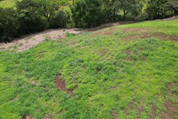 Commercial Land for Sale in La Argentina, Grecia en Mercedes, Atenas, Alajuela — 380 000 000 ₡ - Foto 3 de 16