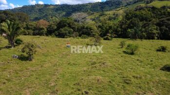 FINCA GANADERA 27 HECTÁREAS EN PÉREZ ZELEDÓN en Pejibaye, Pérez Zeledón, San José — $390,000 - Foto 4 de 13