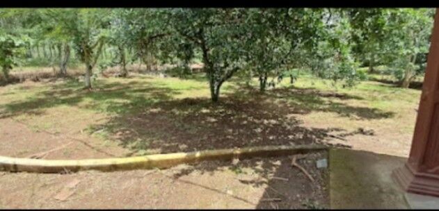 SE VENDE BELLÍSIMA QUINTA EN PÉREZ ZELEDÓN.  en Cajón, Pérez Zeledón, San José — ₡ 110 000 000