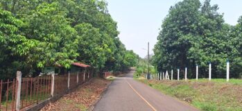 Terreno con Cabañas y Árboles Frutales Cerca de Orotina en San Pablo, Turrubares, San José — $40,000 - Foto 5 de 6
