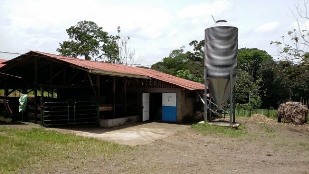 FINCA LECHERA DE 33 HA EN SAN CARLOS PUERTA CERRADA en Florencia, San Carlos, Alajuela — ₡ 1 105 000 000