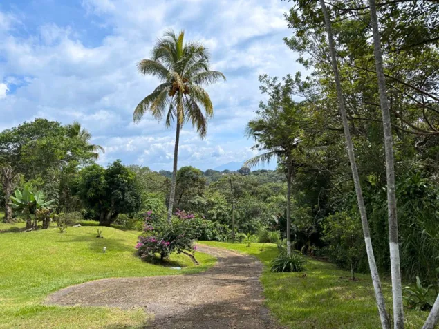 Venta de Casa con apartamento y terreno de uso mixto en  Alajuela in Tambor, Alajuela — ₡ 285 000 000 - Photo 2 of 29