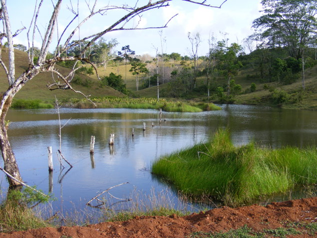 Venta Finca Chamorro Cutris San Carlos en Cutris, San Carlos, Alajuela — $3,000,000 - Foto 2 de 20