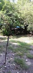 Farm For Sale Laurel, Corredores, Puntarenas